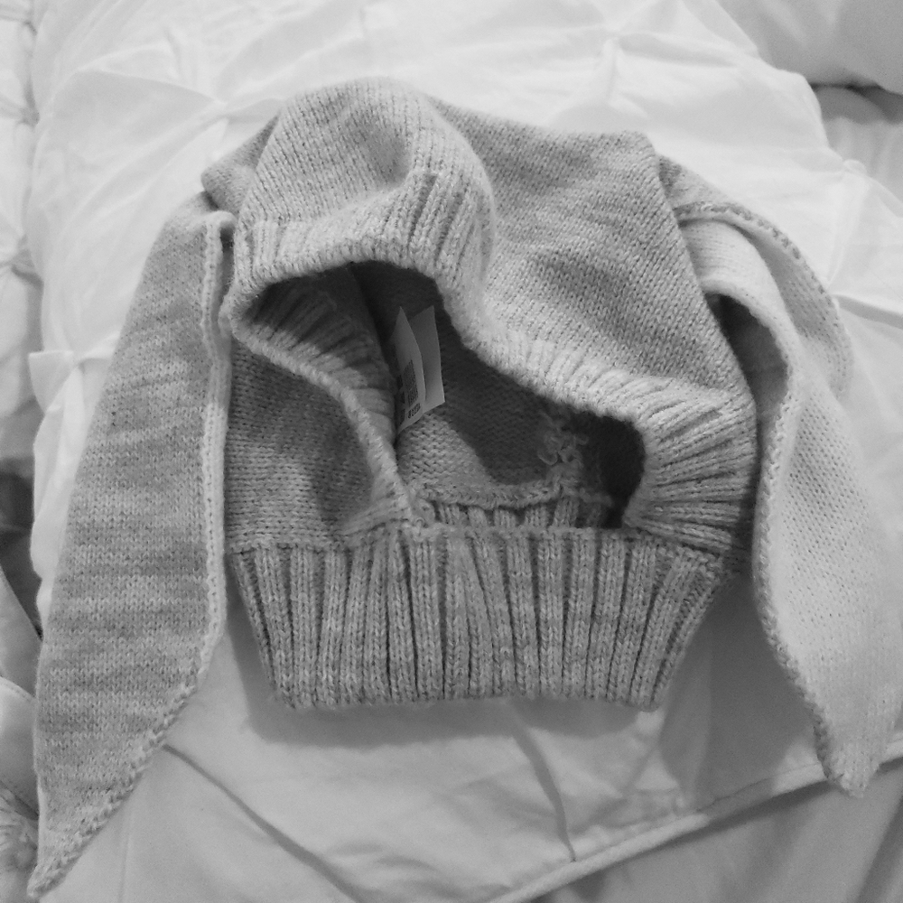 Bunny rabbit hat